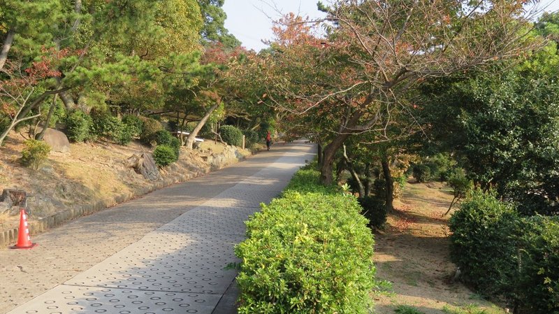 六甲山縦走 (4)