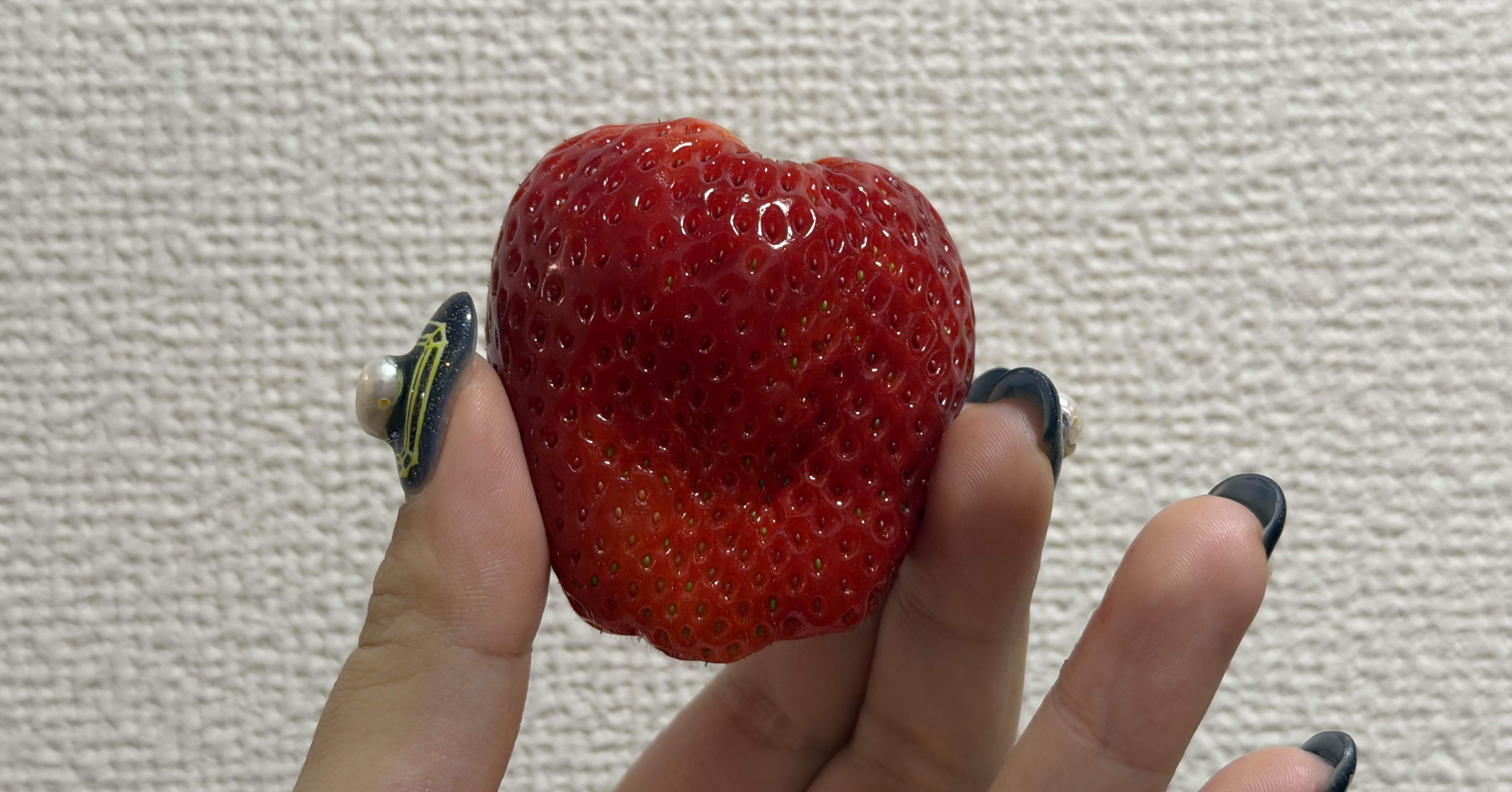 二月二十一日。今週疲れた。果物を買った｜目目、ことほぎ