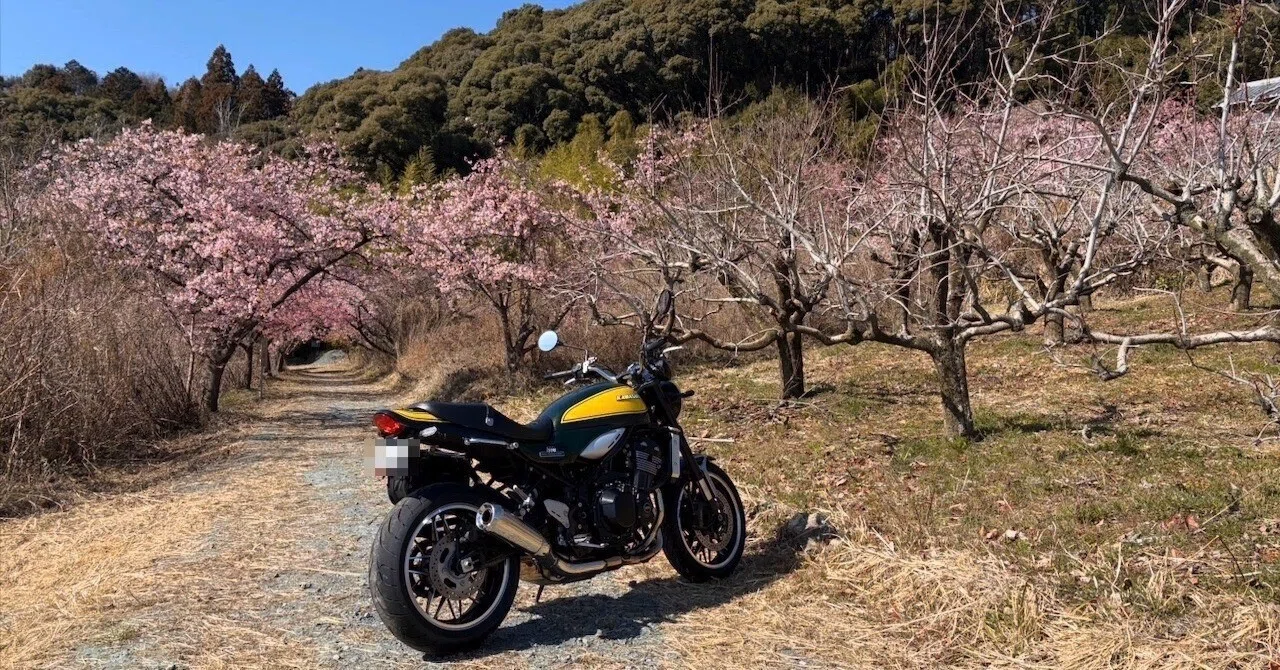 Z900RS Ride 春はもうすぐ 2026/02/21｜Mick Kamihara