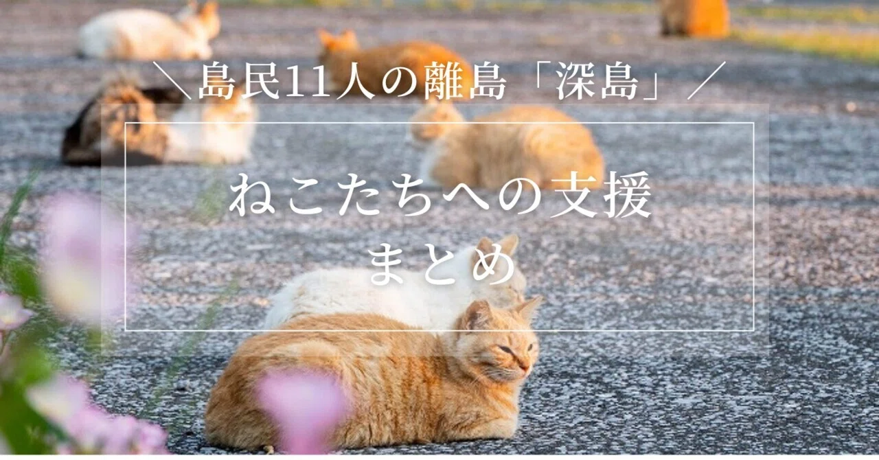 深島の猫たちを守るために｜深島の猫たちへの支援の方法まとめ｜でぃー