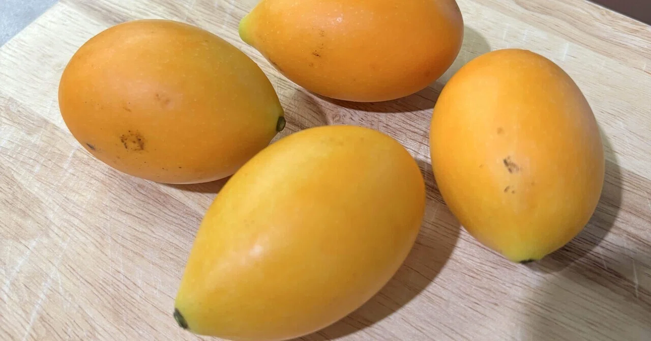 今が旬！タイのフルーツ「マヨンチット」を食べてみました｜mamori
