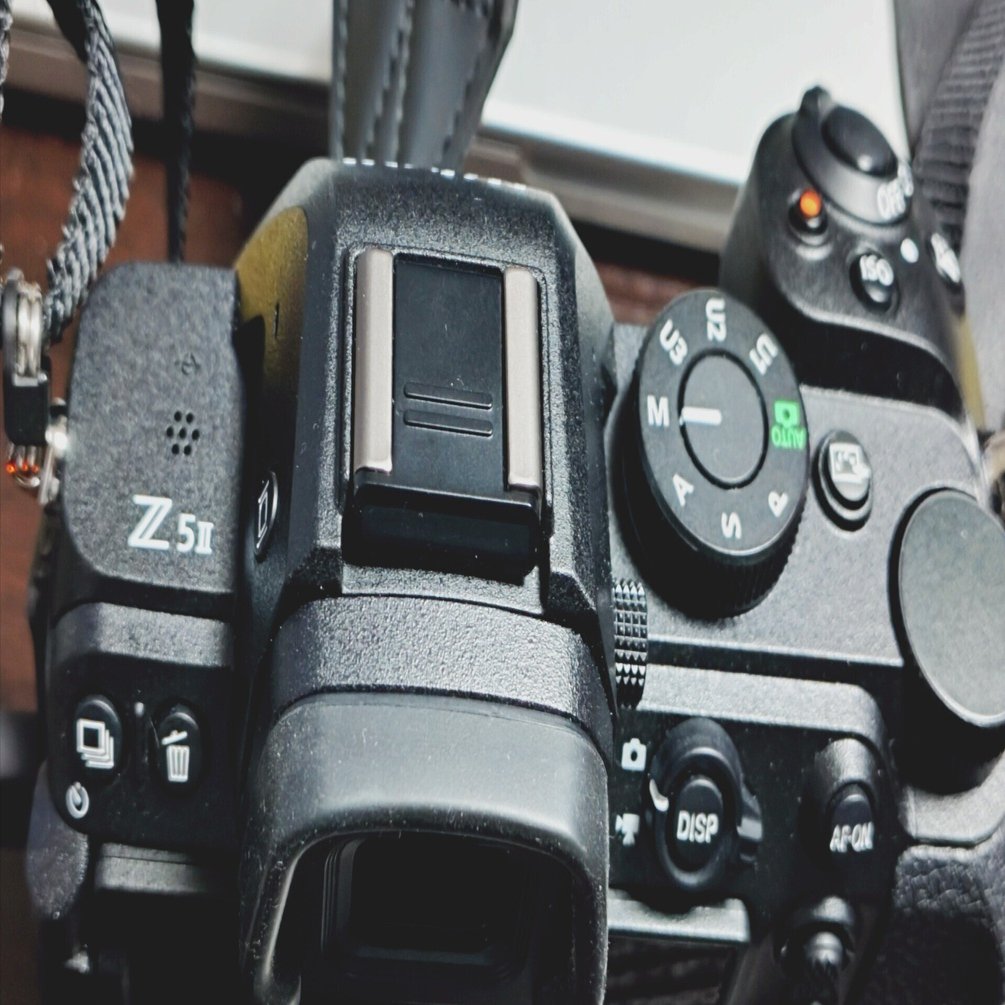 Z5Ⅱ】新宿御苑【Z 50mm F1.8 S】｜たも2