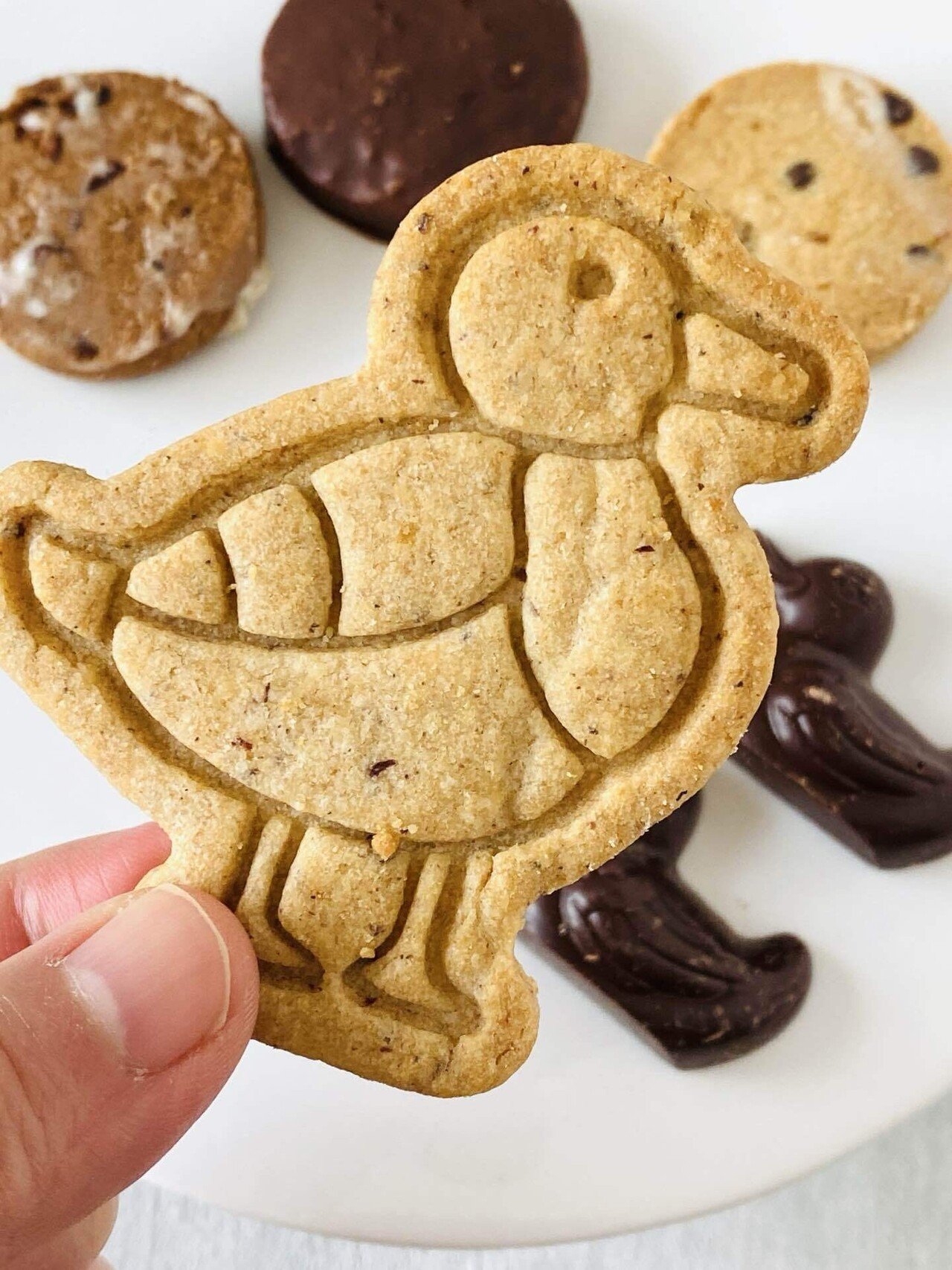 チョコを存分に楽しめる♪カモのクッキー缶｜Tamara