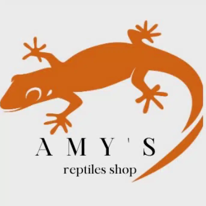 Amy's【爬虫類ショップ アミィズ】