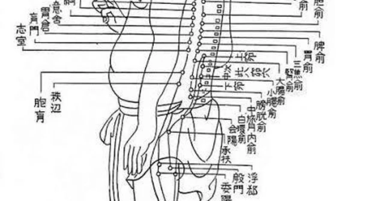 長生灸800壮(レギュラー) ＋お灸説明書・ツボ参考図付 長生灸800