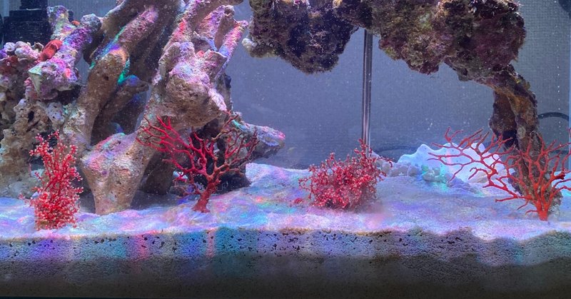 イソバナ の新着タグ記事一覧 Note つくる つながる とどける