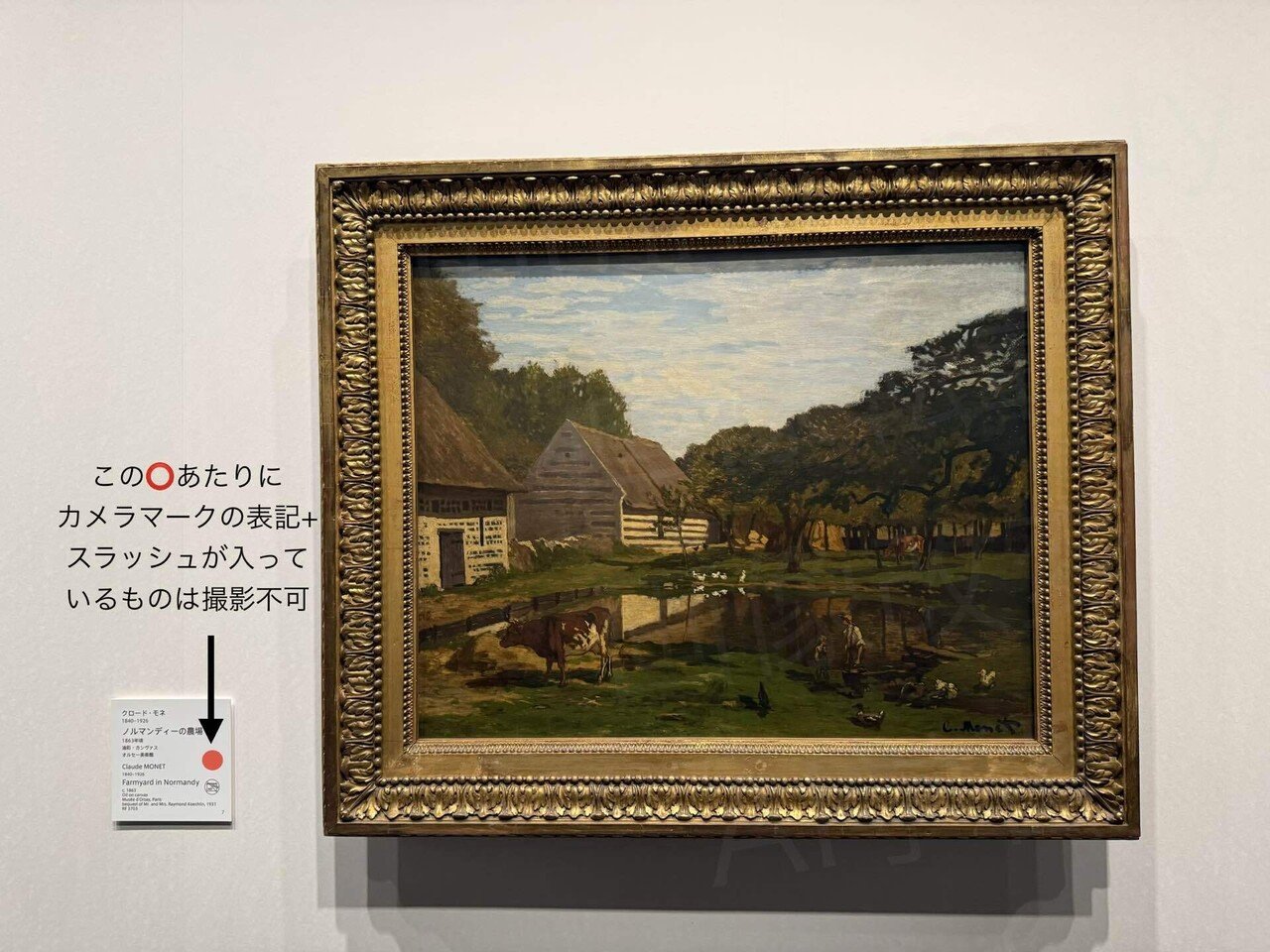 変化を捉えて表現する｜「クロード・モネ 風景の問いかけ」を観て感じ