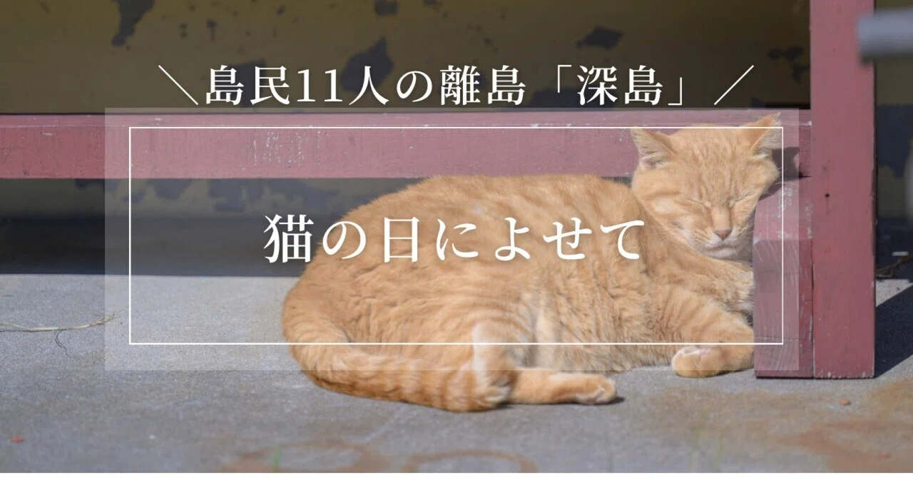 猫の日に寄せて｜島民11人とねこ60匹の離島「深島」｜でぃーぷまりん