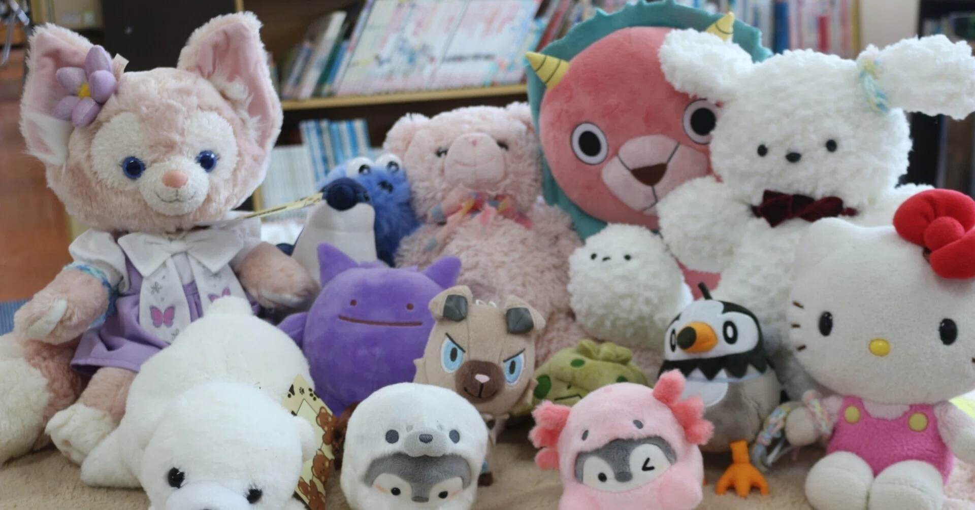 ぬいぐるみのおとまり会】よるの図書室でなにをしていたのかな