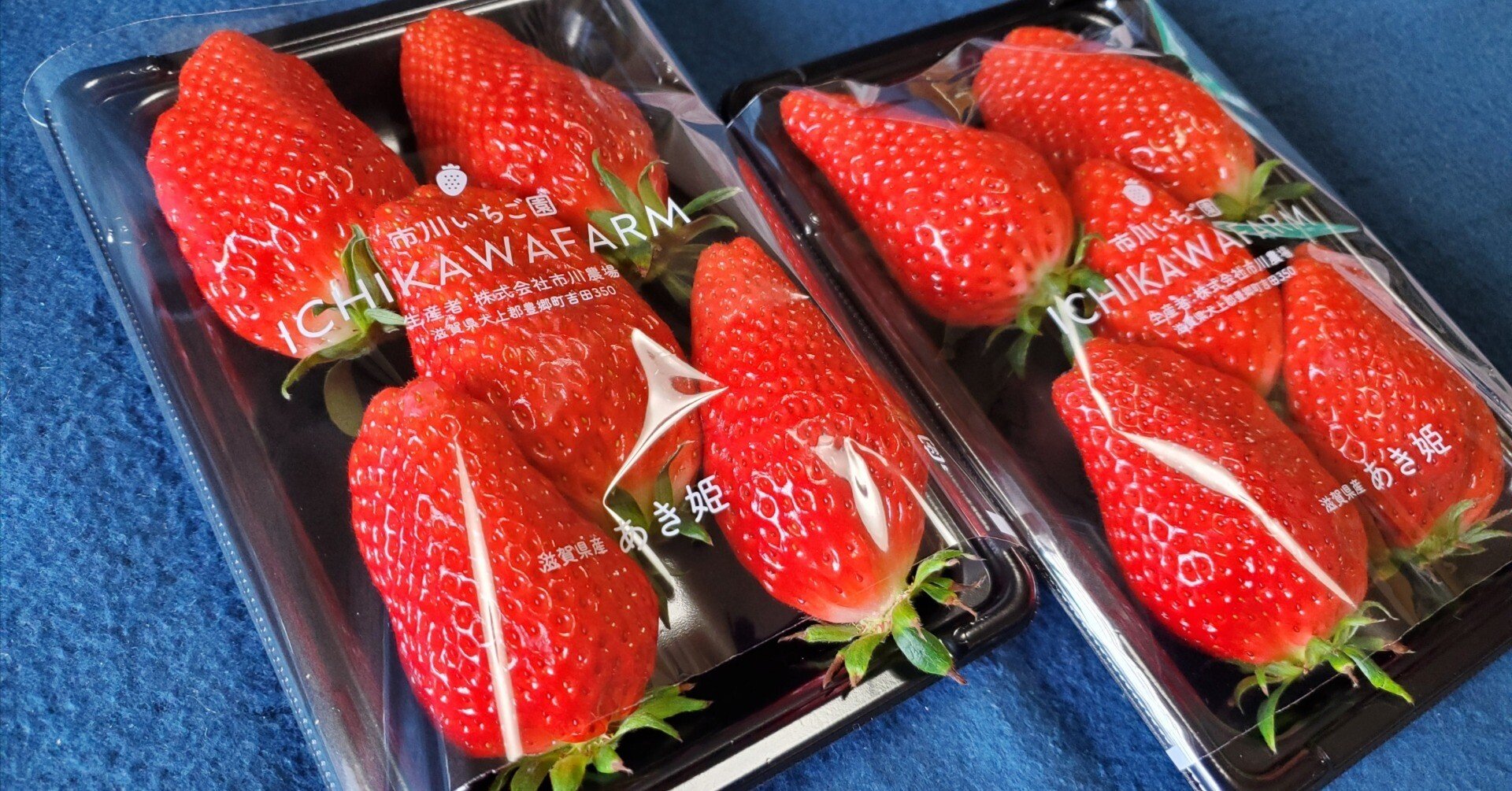 22日はイチゴ乗せの日｜MOMO-TARO