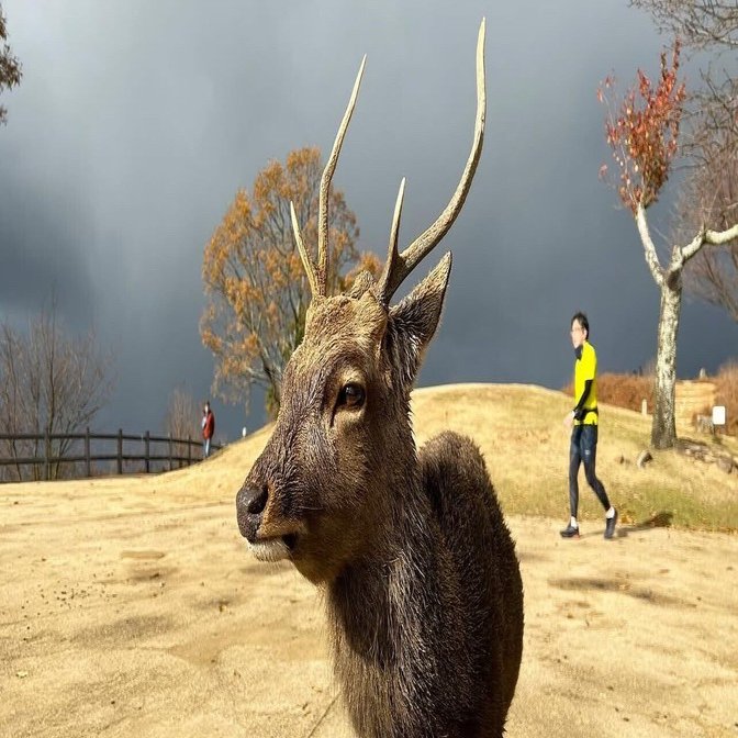 👑G1全日本選抜熊本3日目1.2.3.4.5レースセット👑｜鹿ちゃん🦌競輪予想