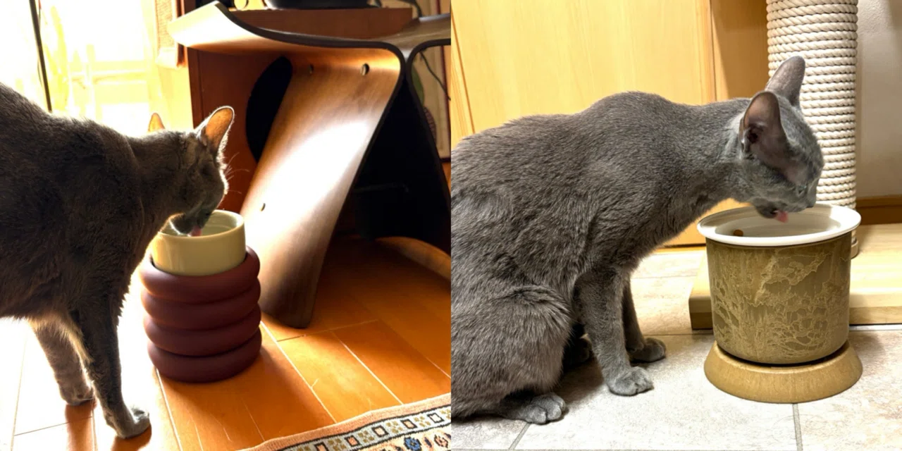 ねこつよし様リクエスト　猫の餌台 ねこつよし様リクエスト 猫の餌台 楽天市場】食べやすい 高さがある 猫