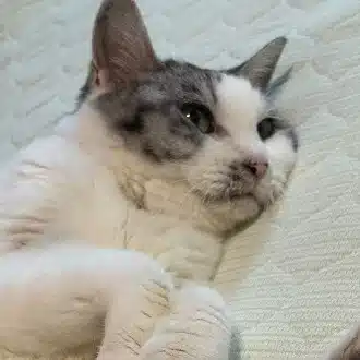 創作複合施設🏬＿なかがわよしの😺