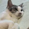 創作複合施設🏬＿なかがわよしの😺