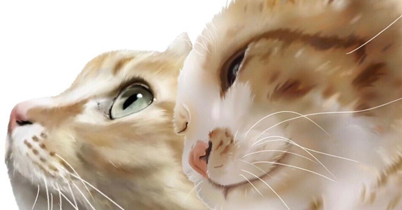 2月22日にゃんにゃんにゃんで猫の日｜ෆもふෆ