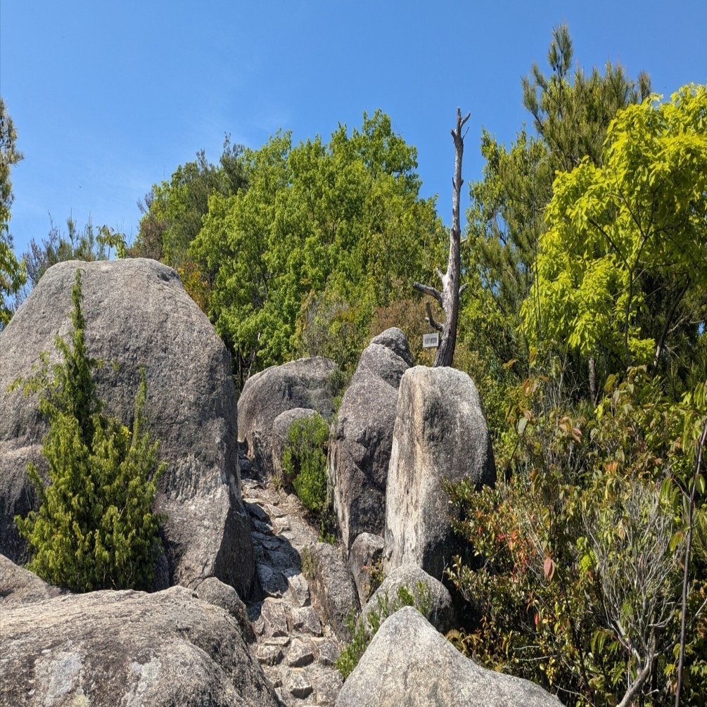 街から走って山の上へ。広島市街を一望する「大茶臼山・展望岩」の贅沢