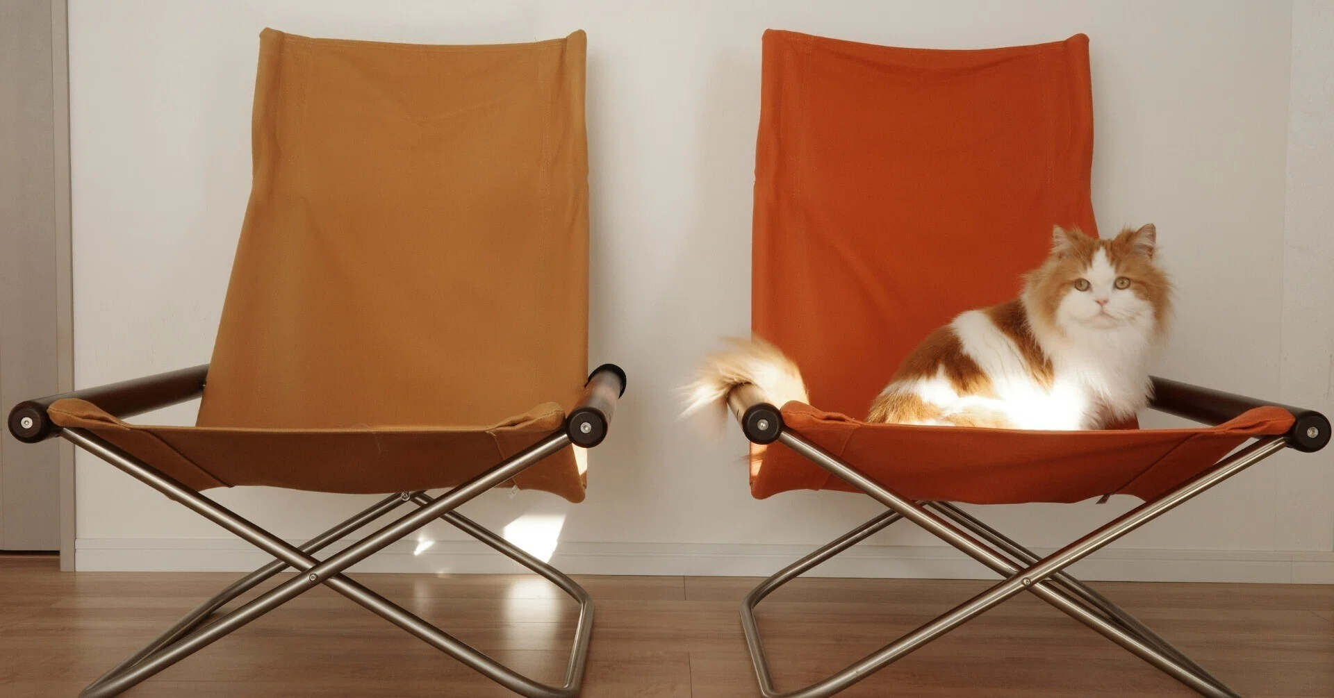 01 The Best Chair for Living with Cats: Nychair X|ナカムラ 01 The Best Chair for Living with Cats: Nychair X|ナカムラ