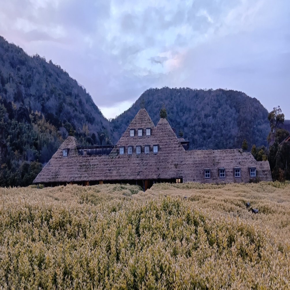 京都駅からの日帰り旅行】近江八幡（約7時間）｜aurinko