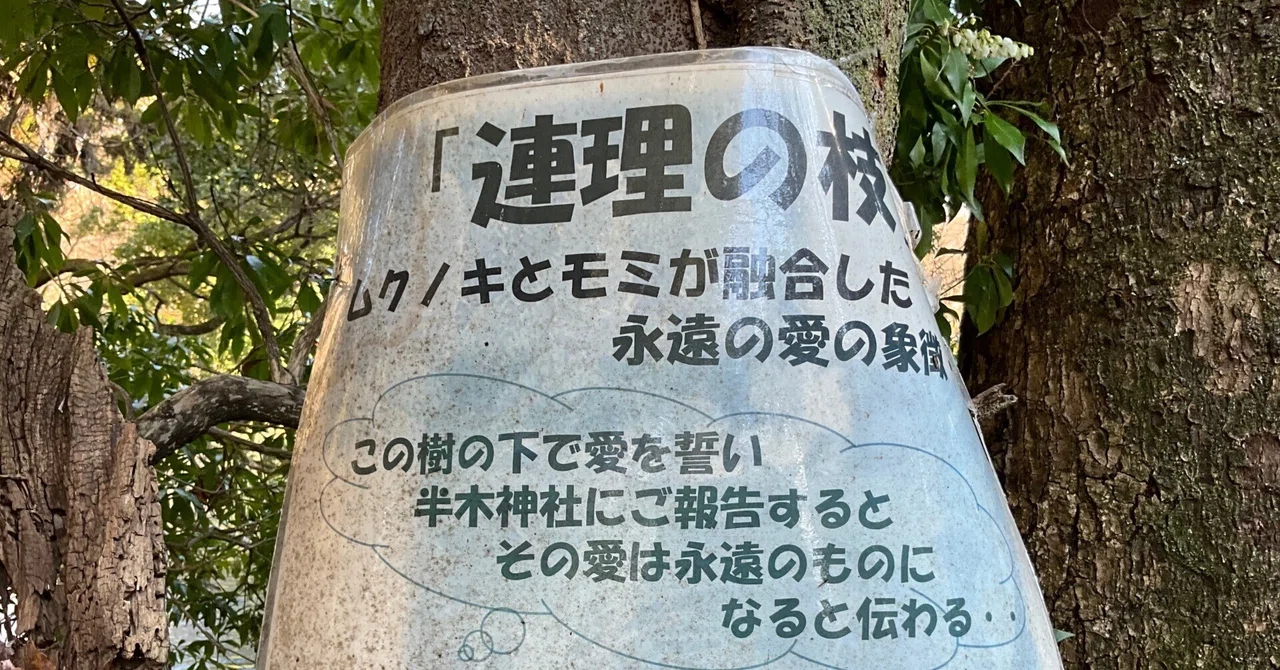 連理の枝(京都府立植物園)No.141:2026年2月22日(日)|藤井秀昭(『京都居候叢書』著者)