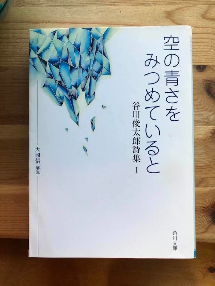 谷川俊太郎詩集 二十億光年の孤独 ※サンリオ※1992年10月25日発行※レア本 谷川俊太郎詩集 二十億光年の孤独 ※サンリオ※1992年10月25日発行