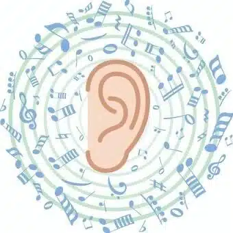 みーくん👂