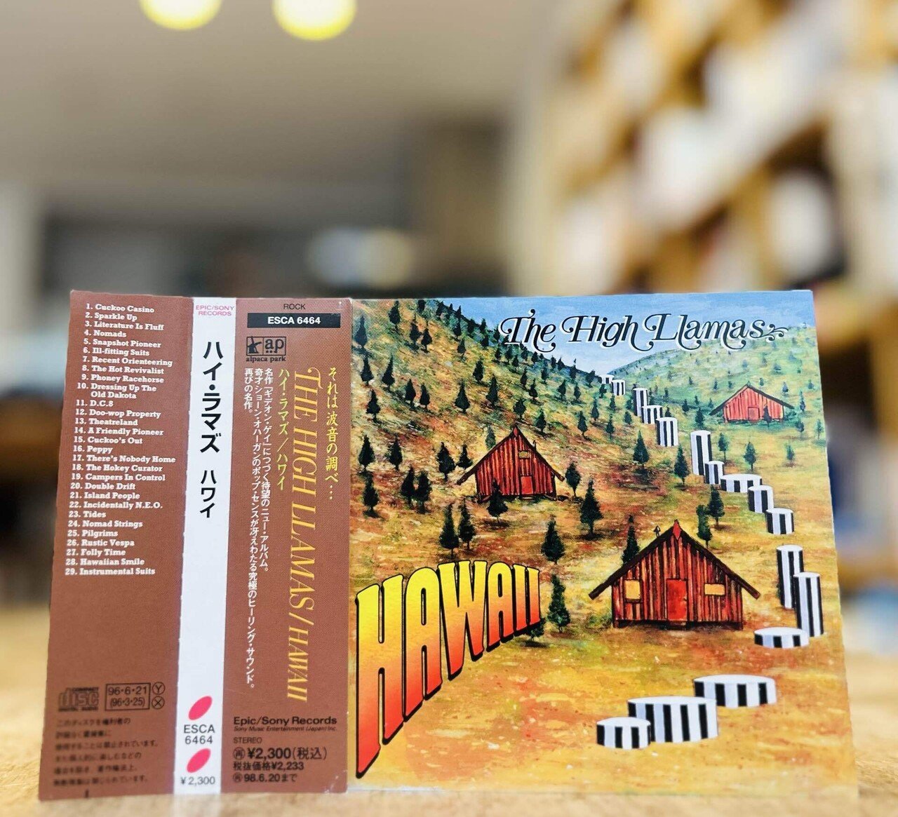 The High Llamas の全アルバムをフィジカルで聴く｜dig ニキ
