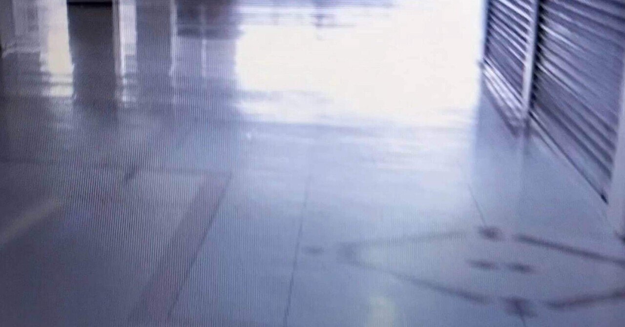 空洞化する都市とデジタル・ノスタルジア ―― 崩壊から生まれる美学｜sute_aca