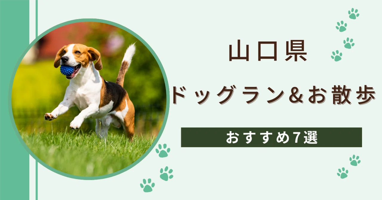 [2026 Latest Edition] 7 Recommended Dog Runs & Walking Spots in ...