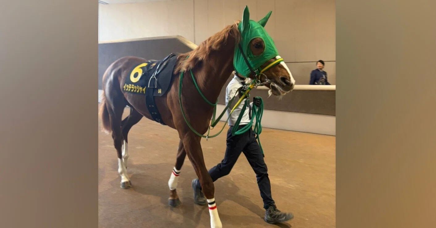 堀内規次作　馬 無事此れ名馬｜堀江貴文(ホリエモン)