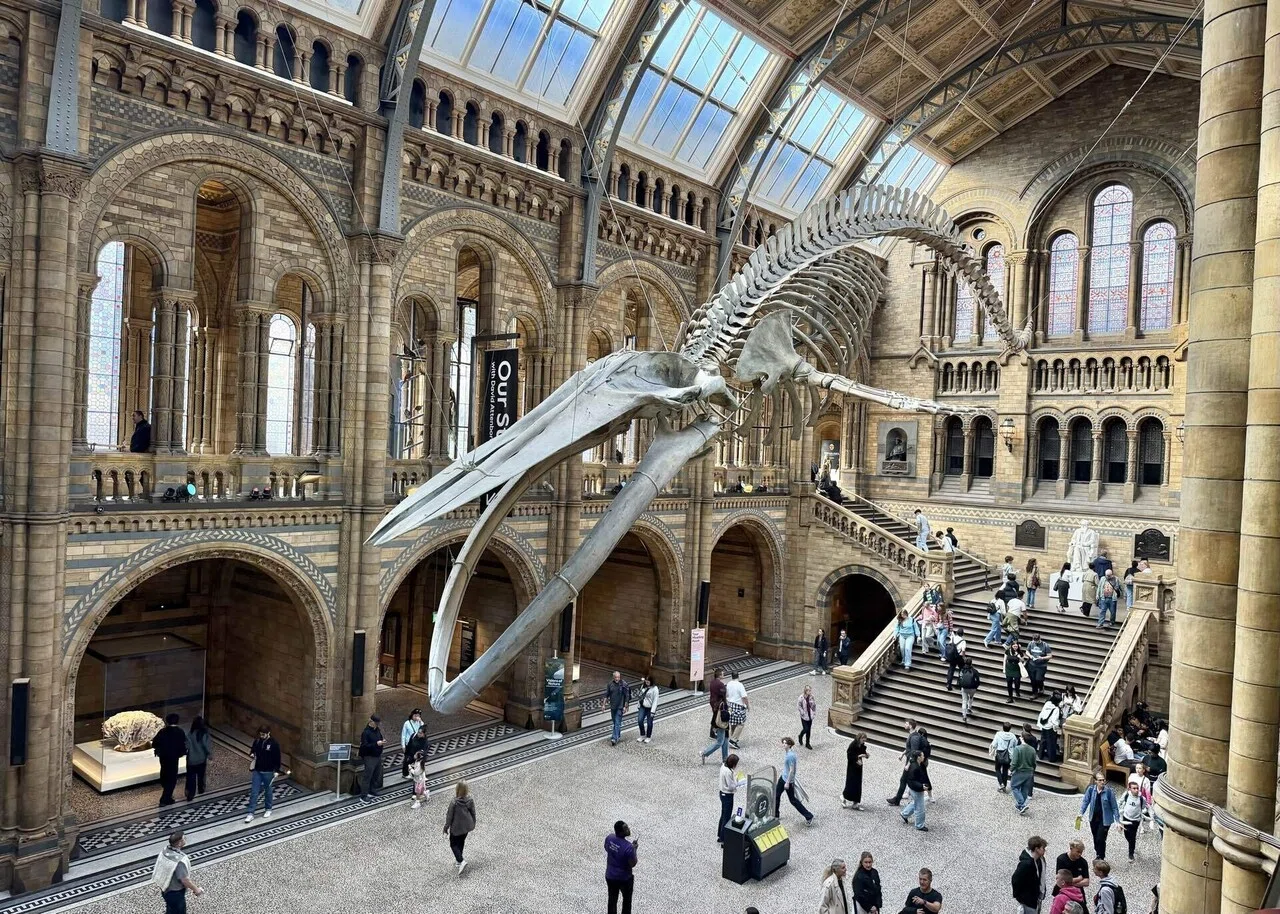 ロンドンひとり旅4泊6日 ③後編】「自然史博物館」&「キングスクロス ロンドンひとり旅4泊6日 ③後編】「自然史博物館」&「キングスクロス
