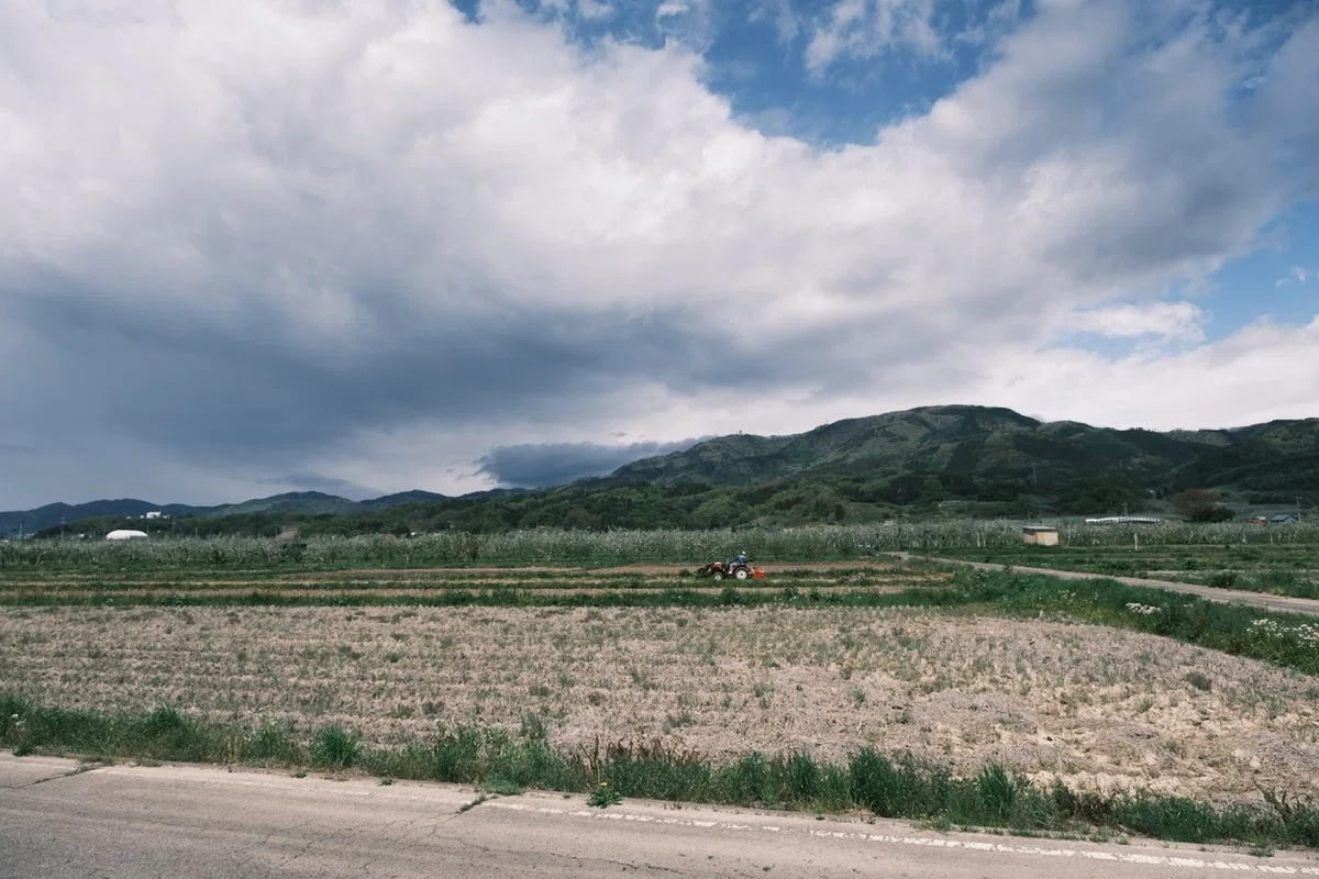 画像10