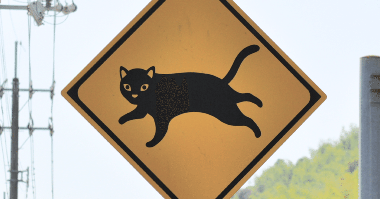 全国でもかなり珍しい！「ネコに注意」標識 (高知・いの町)｜道路標識