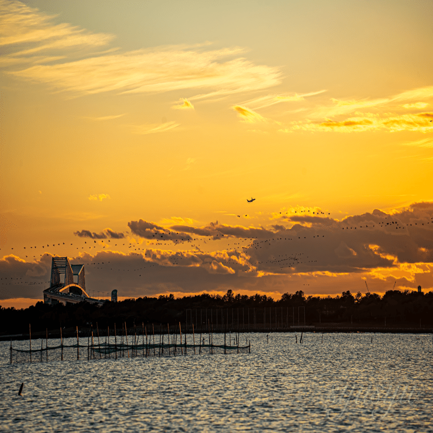 東京の環境音】葛西海浜公園の海と羽田から飛ぶ飛行機｜syusyu