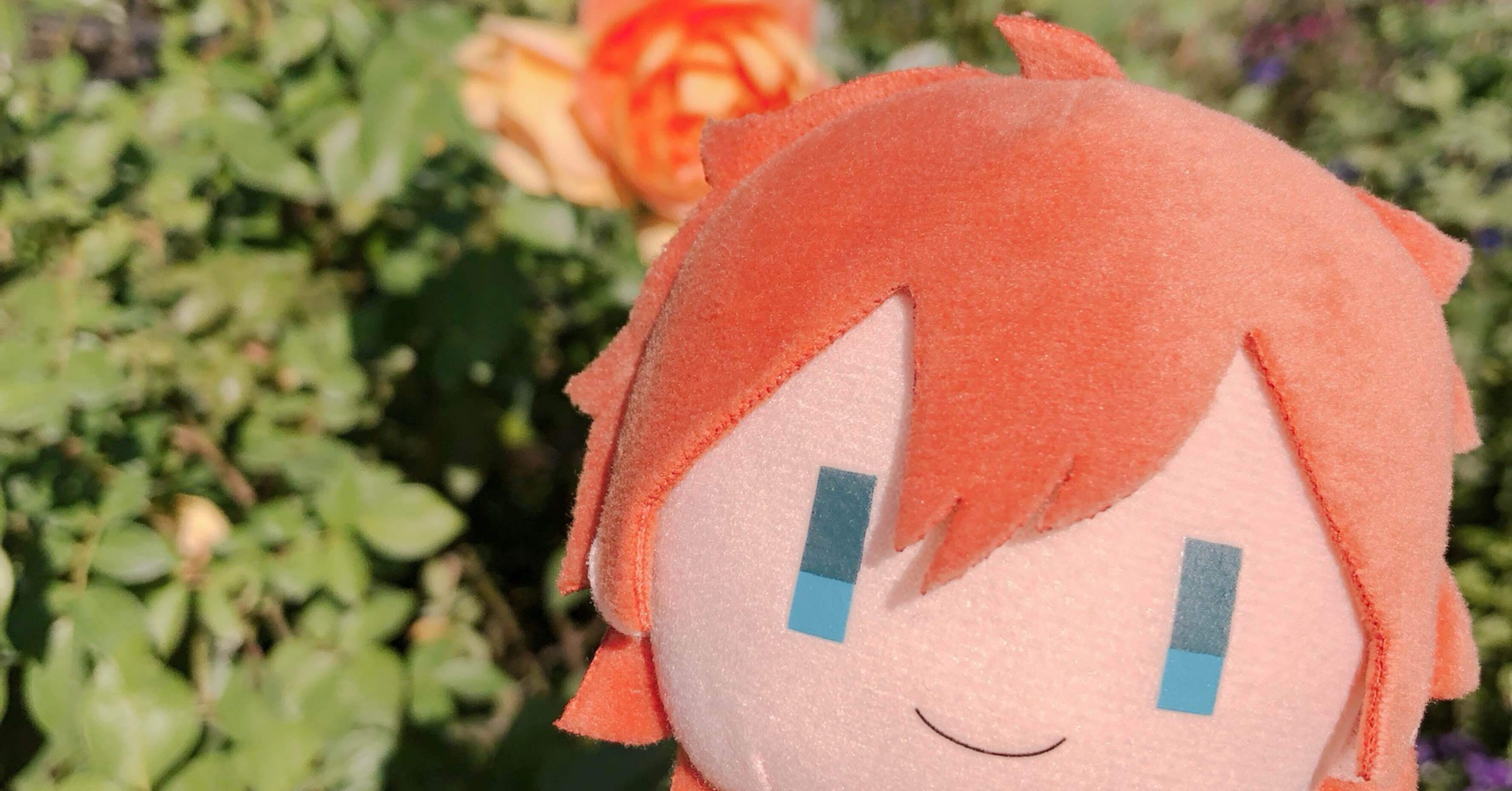 外の世界が苦手な私を、推しが連れ出してくれた。HSPな私の『ぬい撮り