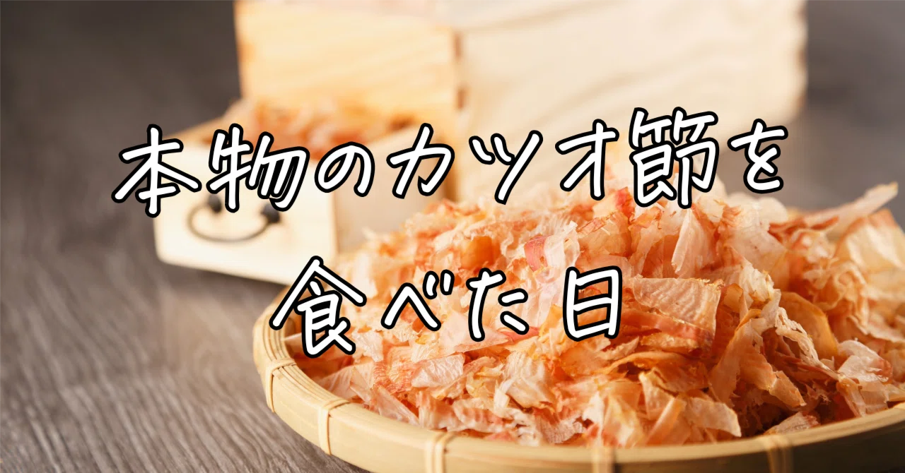 本物のカツオ節を食べた日｜ちひろ｜健康で幸せに生きる知恵
