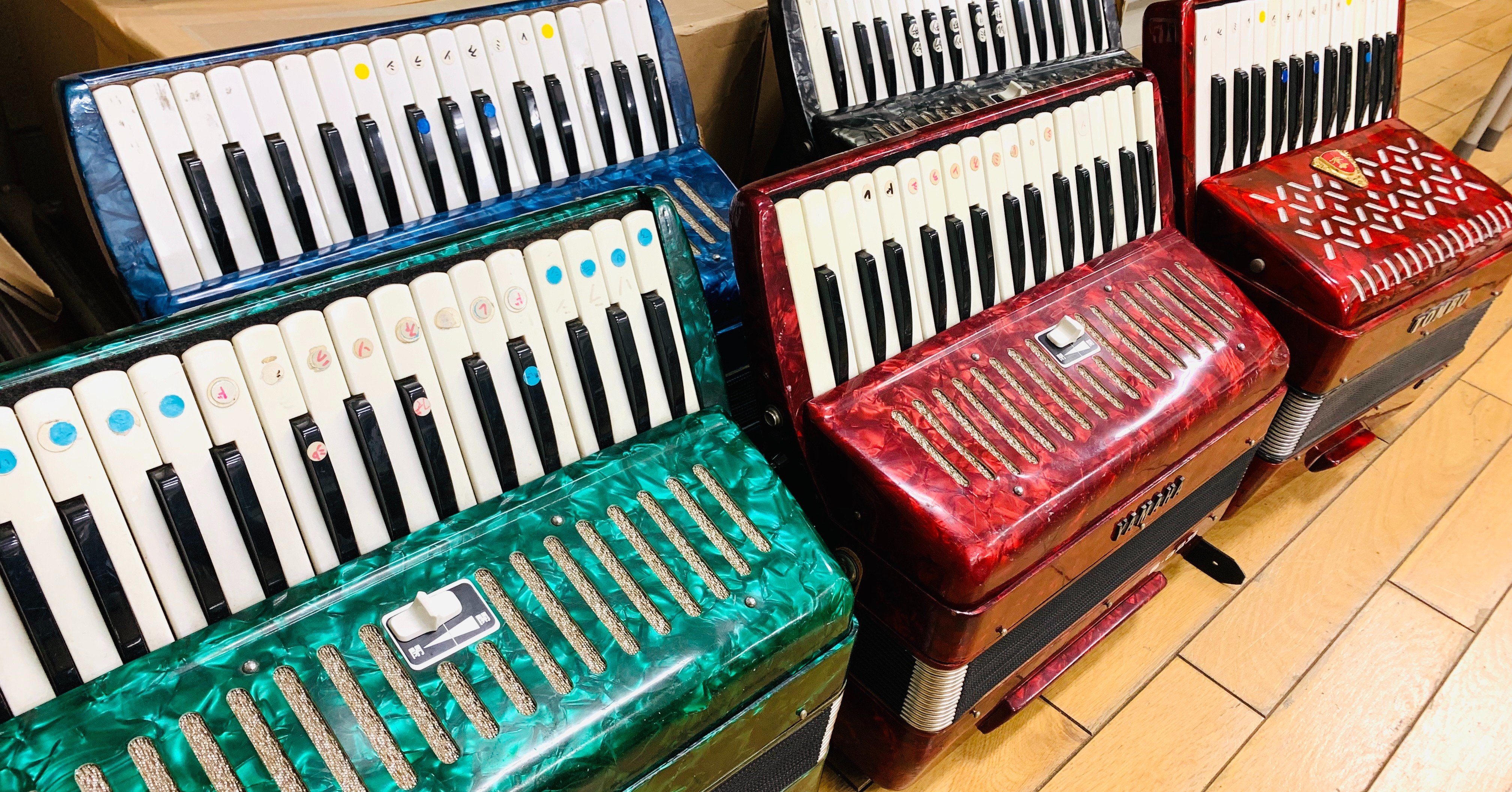 アコーディオン 鍵盤 ハーモニカ Accordeon agrotendencia.tv