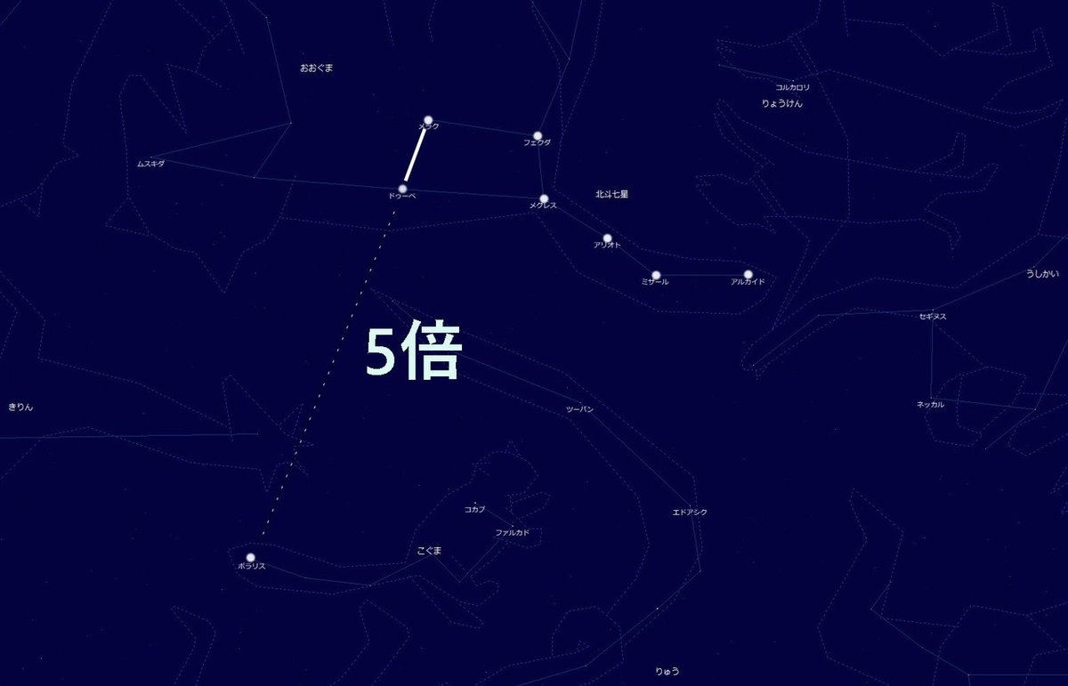 野外露出　コグマ 
