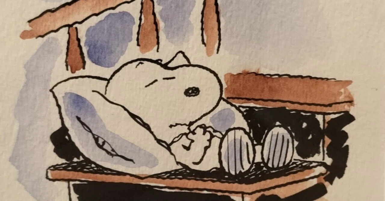 ピーナッツ」誕生75周年展「ザ・スヌーピー展」世界のともだちになった 