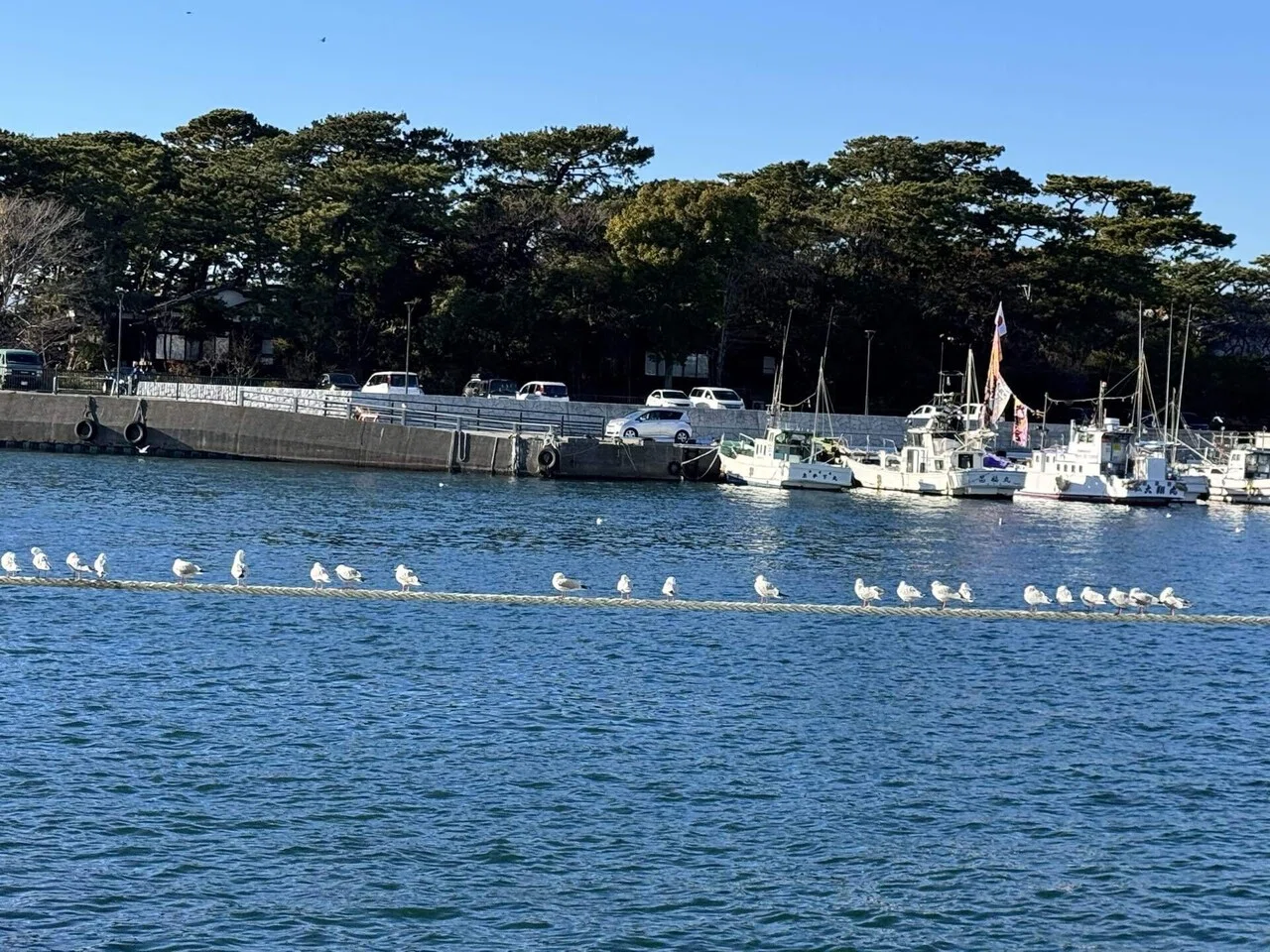 26年1月 熱海・三島・沼津の旅⑩ 沼津港大型展望水門「びゅうお