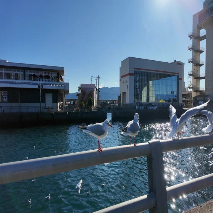 26年1月 熱海・三島・沼津の旅⑩ 沼津港大型展望水門「びゅうお