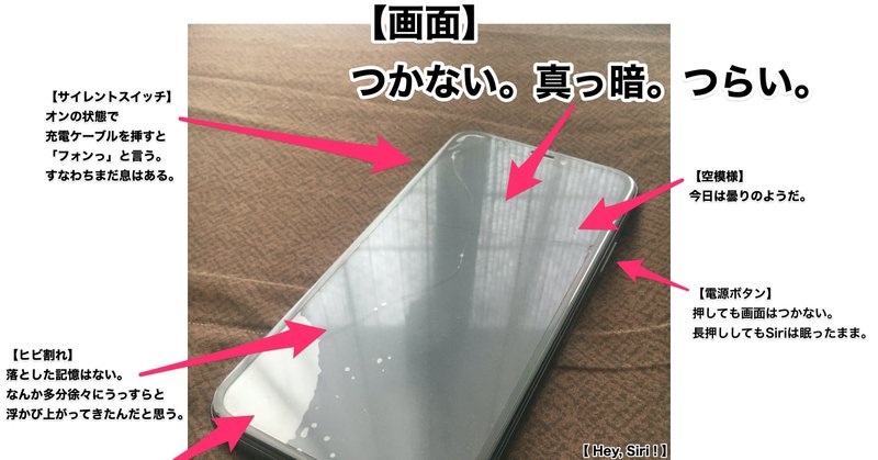 今 Iphone故障がだるい エクスプレス交換サービスを利用してみた よねたく Note 今 Iphone故障がだるい エクスプレス交換サービスを利用してみた よねたく Note