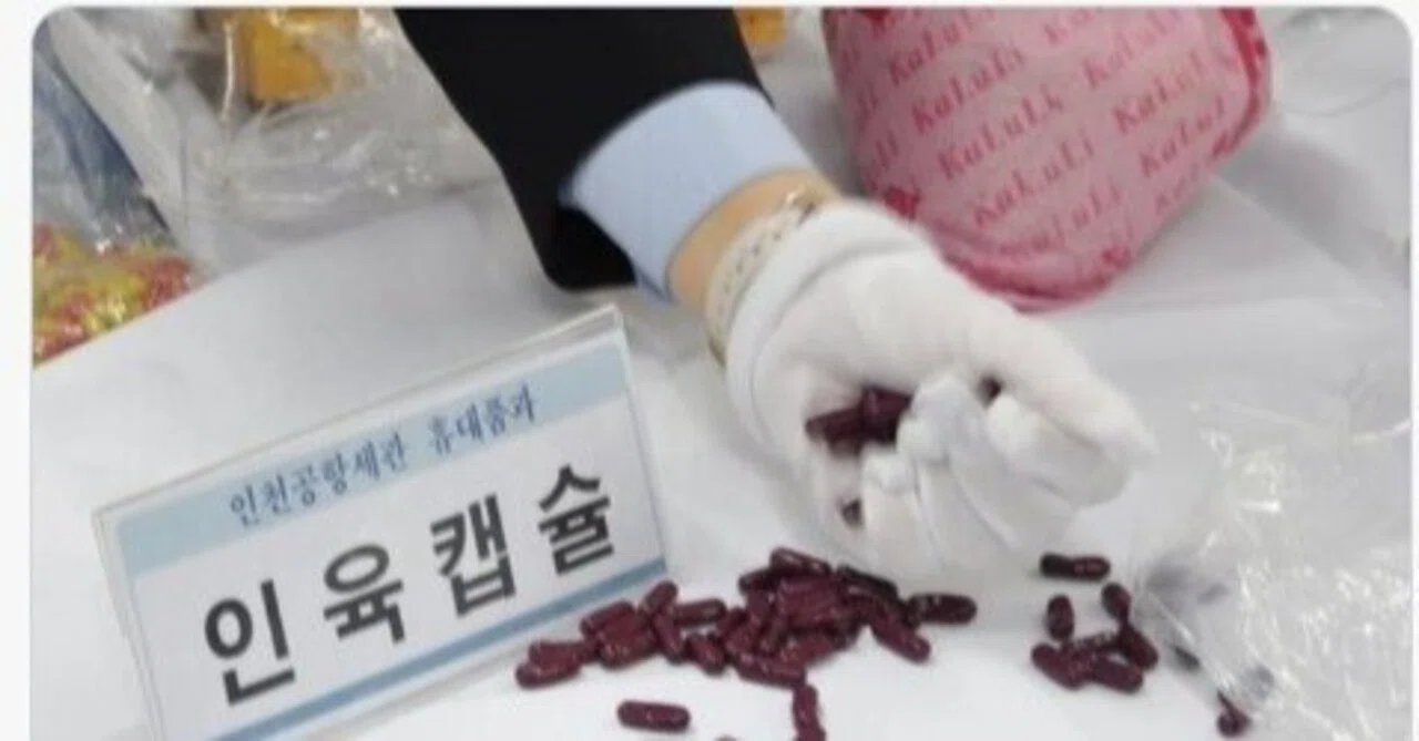 人肉カプセル摘発。韓国通関警鐘
