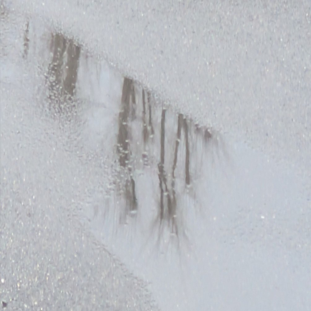 一枚の画像〜雨上がりの朝｜ichiro70