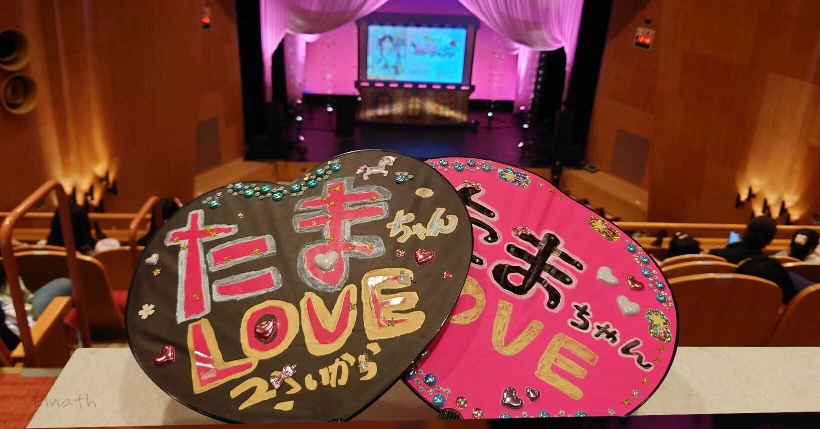 日記】たまみーと！TAMA-chanのライブへ行って、娘と同レべの推しに