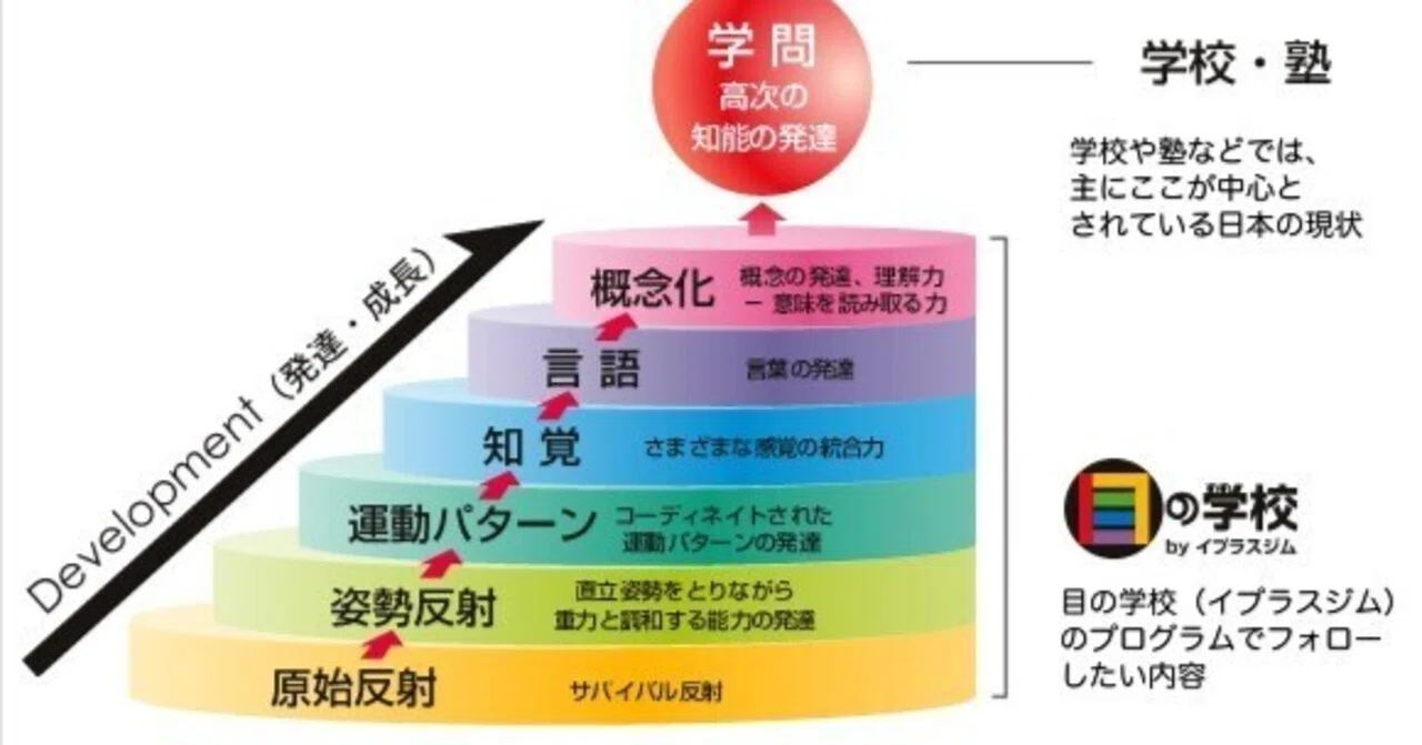 幼児期（6歳までの）ビジョントレーニング｜BVS COLLEGEカレッジ長