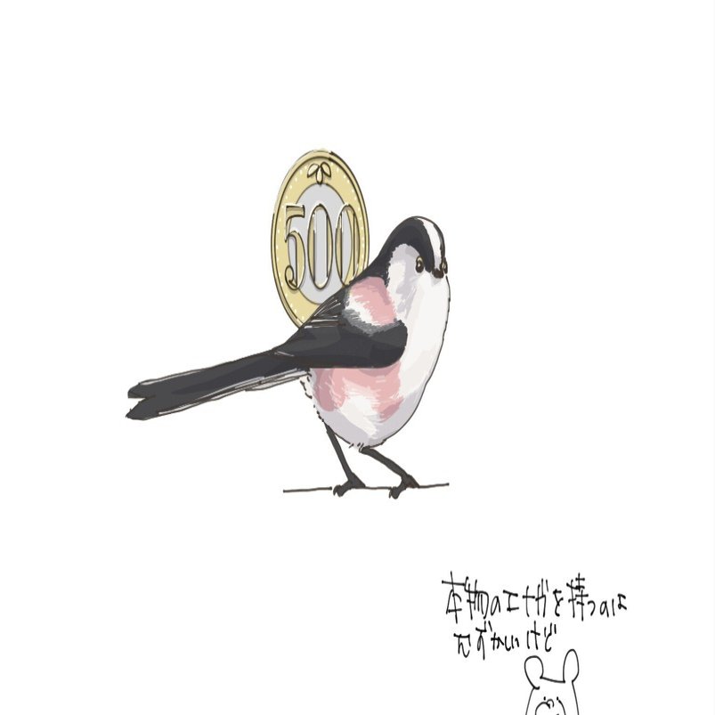 エナガの重さは500円玉｜くますけ｜自然ガイド・クリエイター