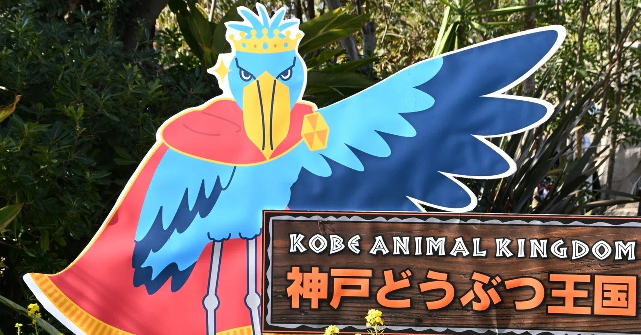 20260221_神戸どうぶつ王国【Nikon Z50IIと動物園】｜山ネズミ