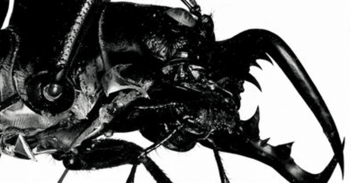 Massive Attack『Mezzanine』全体考察｜低音が亀裂へと変わる瞬間｜Naja