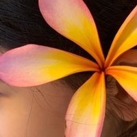 プルメリアが花芽を出すきっかけを考えてみる Hoppie Note