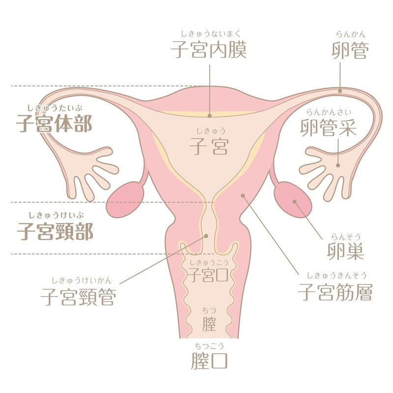 生理 痛 和らげる 画像